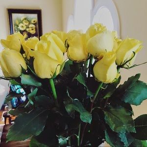 Meet your Posher, Dorothy